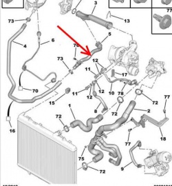 SP 1351NG - Coolant Hose